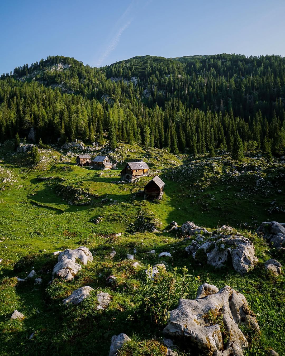 dedno polje