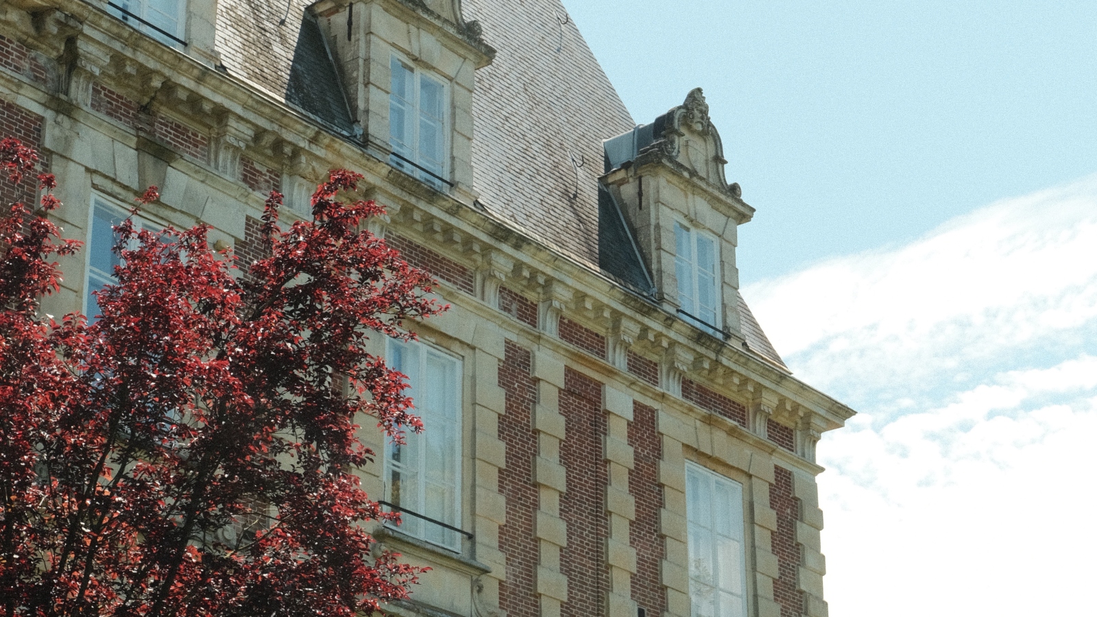 Journalova knjiga meseca: Mansfield Park, Jane Austen