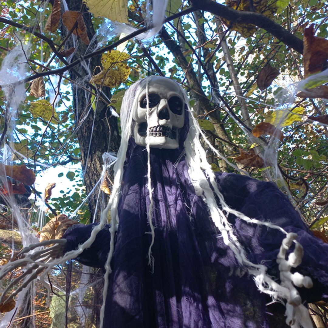 Najbolj strašna ideja za izlet ob noči čarovnic? Magični gozd blizu Ljubljane in Maribora