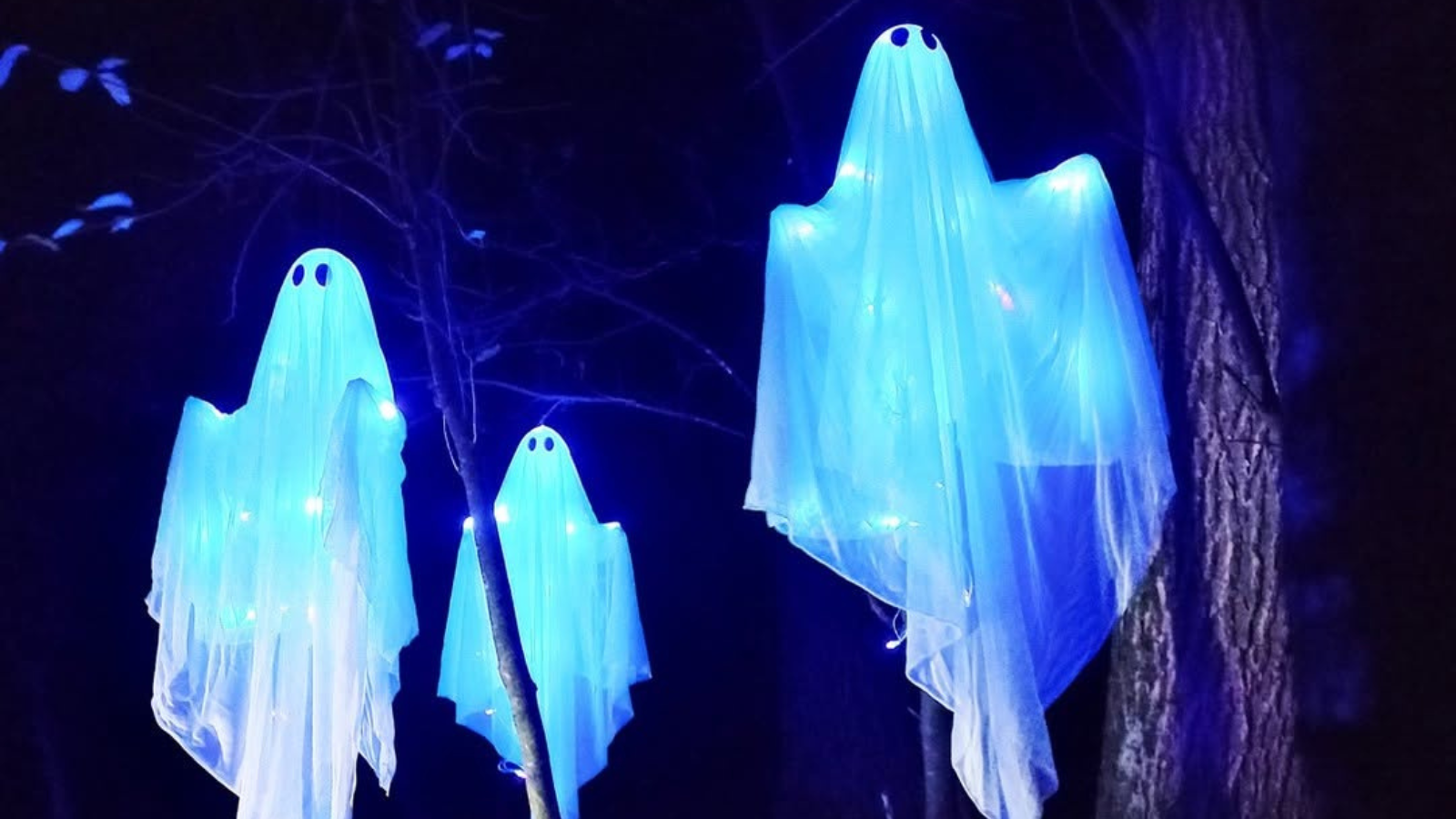 Najbolj strašna ideja za izlet ob noči čarovnic? Magični gozd blizu Ljubljane in Maribora