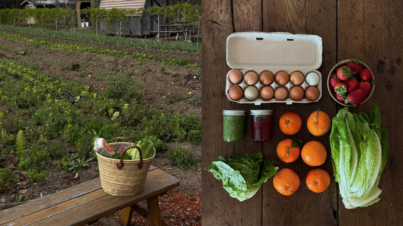 Pet živil, ki vam pomagajo nadomestiti pomanjkanje vitamina D, ko ni dovolj sonca