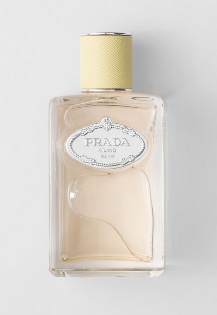 L’Infusion de Gingembre de Prada