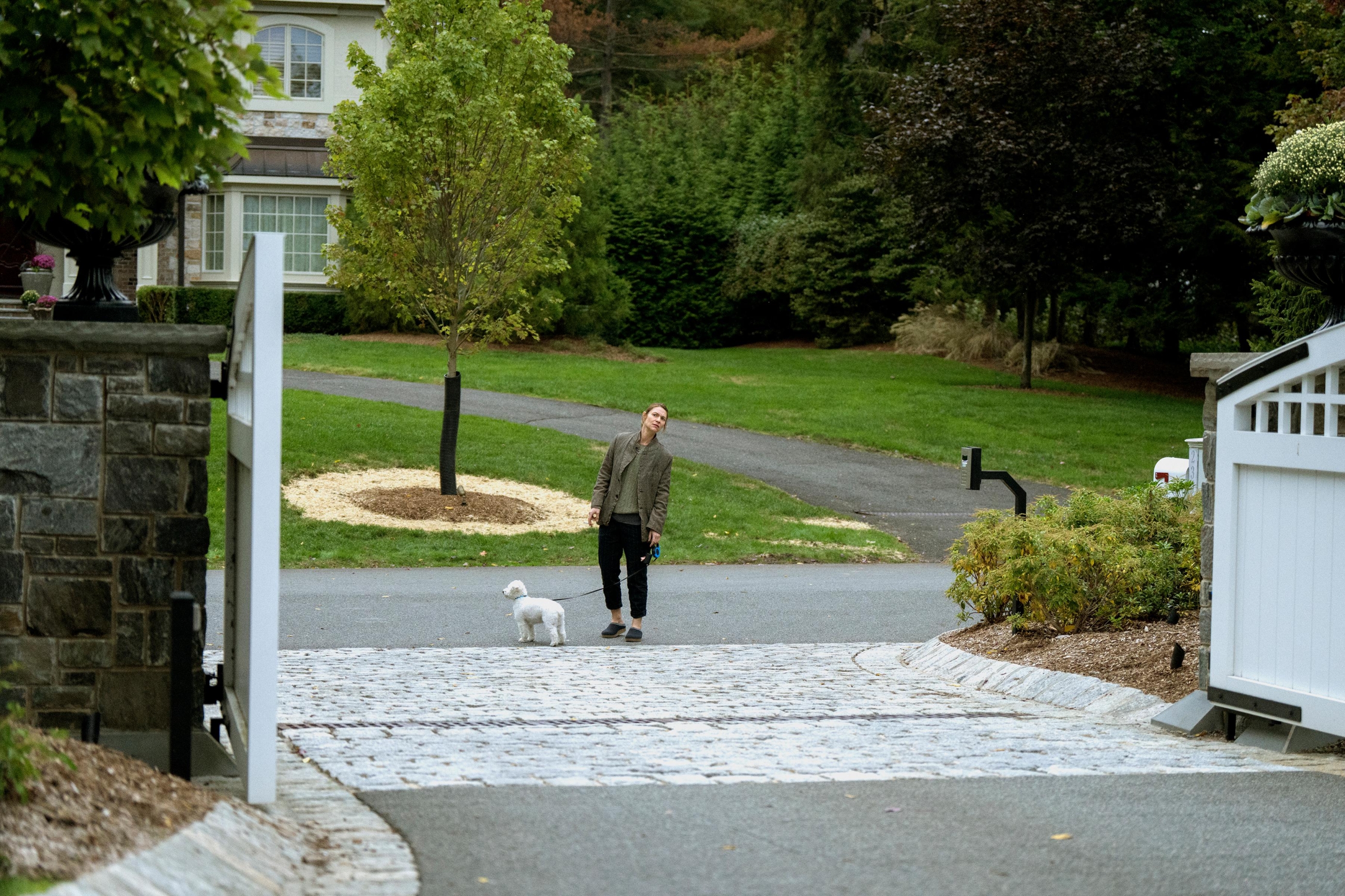 Netflixova uspešnica novembra je psihološka miniserija The Beast in Me. Preverite, o čem govori