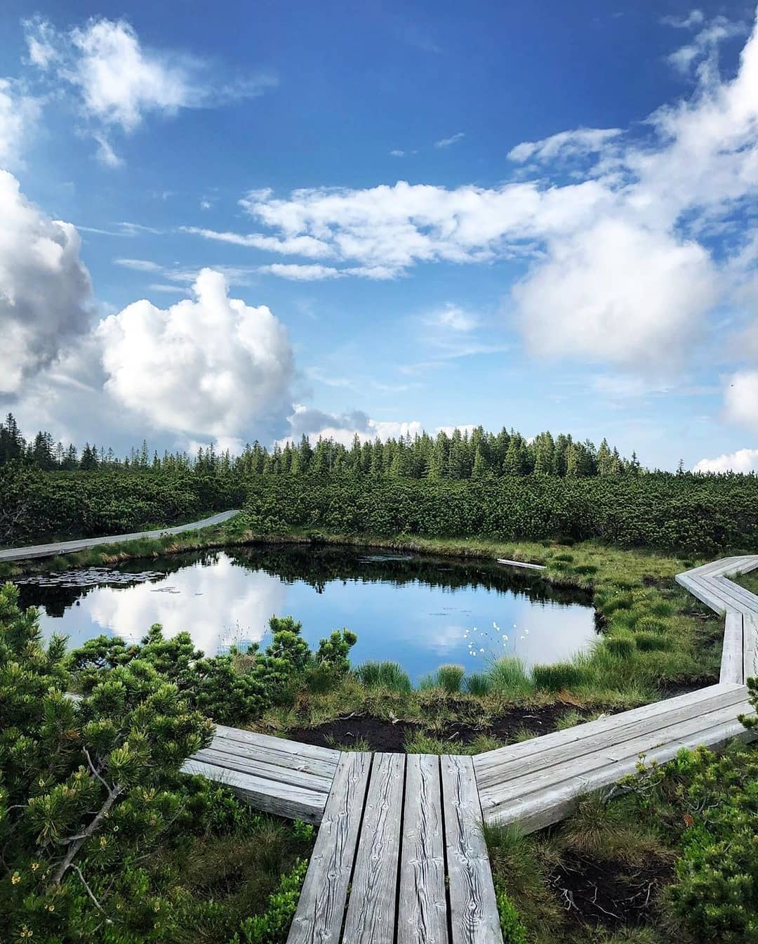 Lovrenška jezera: Pravljični kotiček Pohorja, kjer se čas ustavi in narava diha s polnimi pljuči